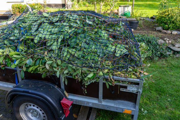 Best Carpet Removal and Disposal  in Callaway, MD